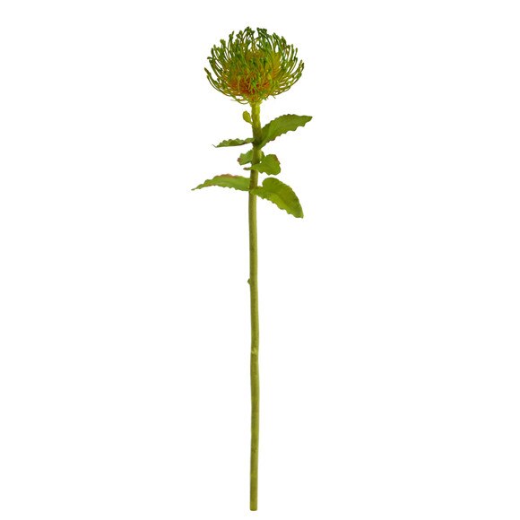 24 Pincushion Flower - SKU #2360 - 3